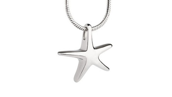 Colgante y cadena de acero Rosa de los Vientos, pequeño relicario para cenizas